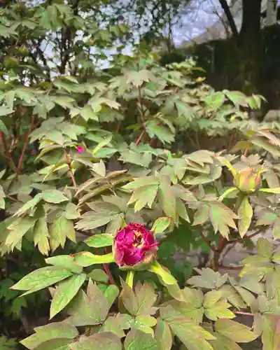 定林山　能成寺の庭園