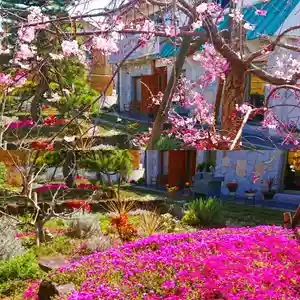 寿量山 速成寺の自然(2021年03月31日(水) 18時53分12秒投稿)