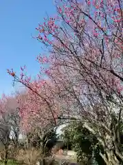 大前神社の自然