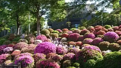 根津神社(東京都)