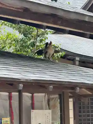 大崎八幡宮(宮城県)