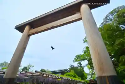 越ヶ谷久伊豆神社(埼玉県)