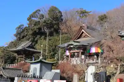 埼玉厄除け開運大師・龍泉寺（切り絵御朱印発祥の寺）(埼玉県)