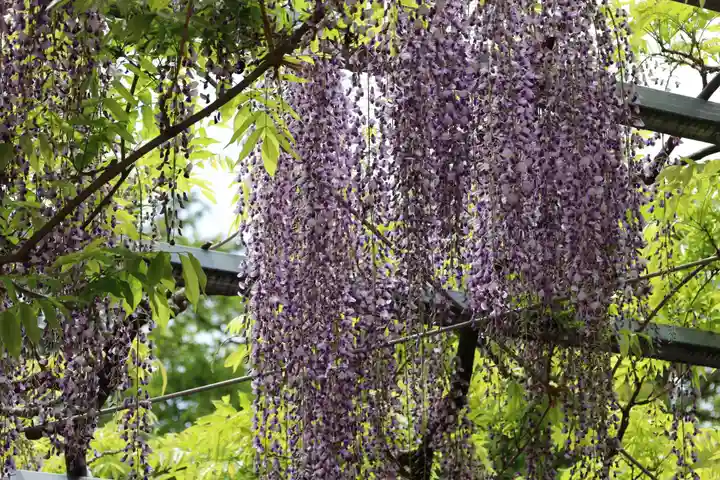 三大神社(滋賀県)