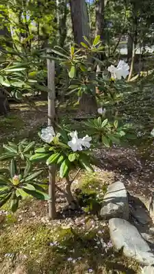 龍安寺(京都府)