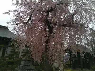 楽音寺(山梨県)