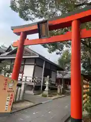 射楯兵主神社(兵庫県)