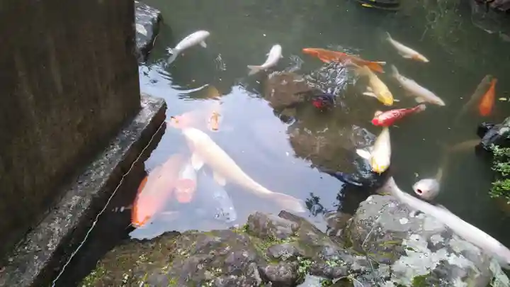 金蛇水神社(宮城県)