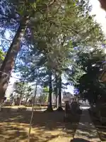 大宮前春日神社(東京都)