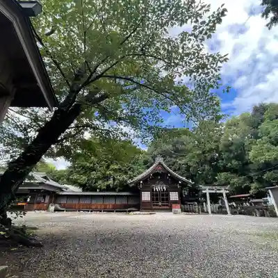 八幡社(柏井町)の本殿・本堂