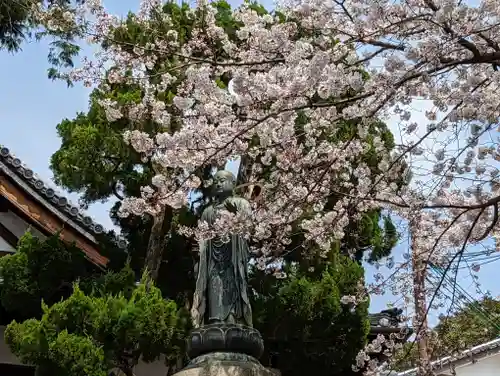くろ谷 金戒光明寺(京都府)