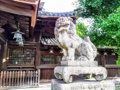 尾張八幡神社の狛犬