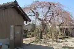 悟渓寺の建物その他