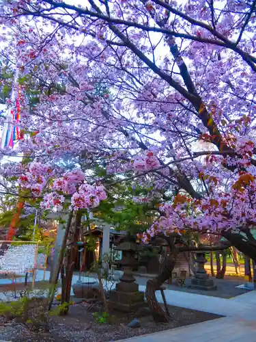 彌彦神社　(伊夜日子神社)の自然