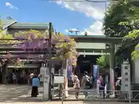 國領神社の鳥居