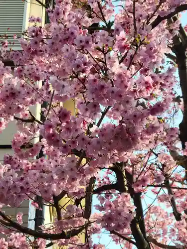 居木神社の周辺
