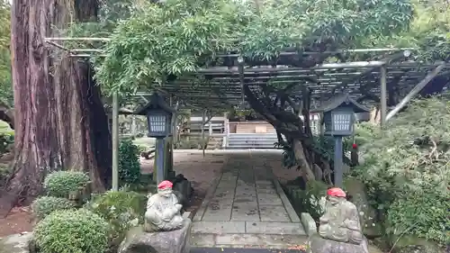 林泉寺の自然