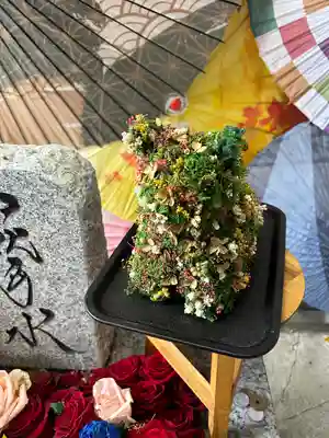 札幌諏訪神社の狛犬