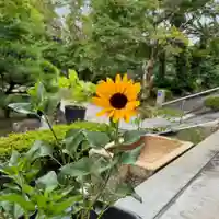 伊勢の国 四天王寺(三重県)