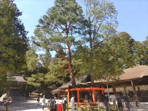 壇上伽藍(和歌山県)