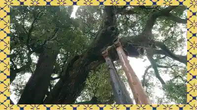 九重神社(埼玉県)
