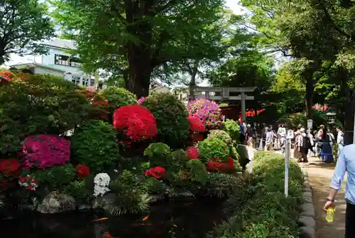 根津神社の庭園