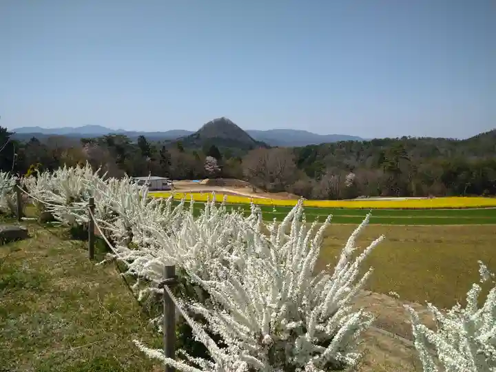 巳徳神社の周辺