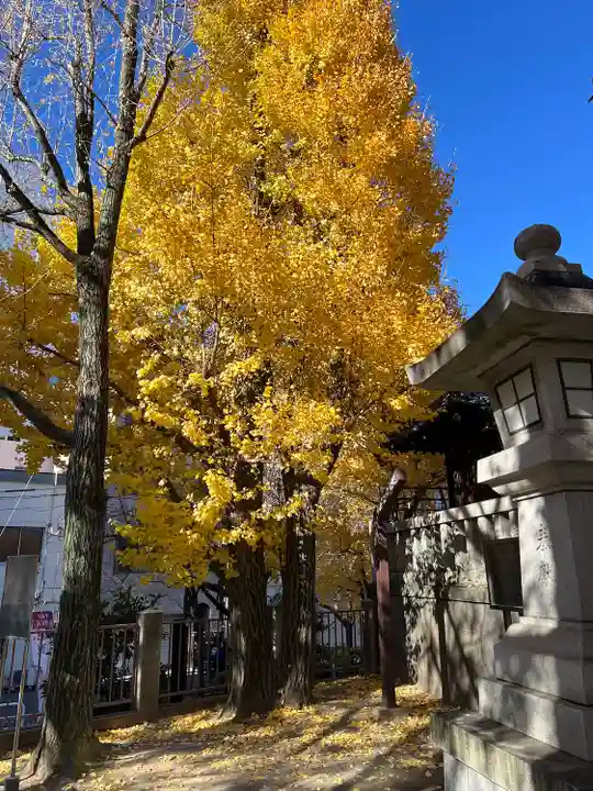 待乳山聖天(本龍院)(東京都)