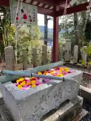 柏原八幡宮の手水