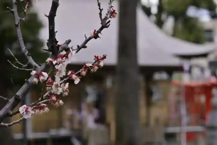 相模原氷川神社(神奈川県)