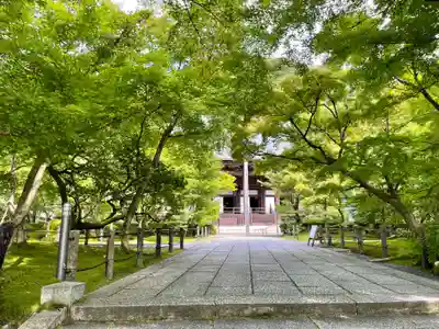 禅林寺(永観堂)(京都府)