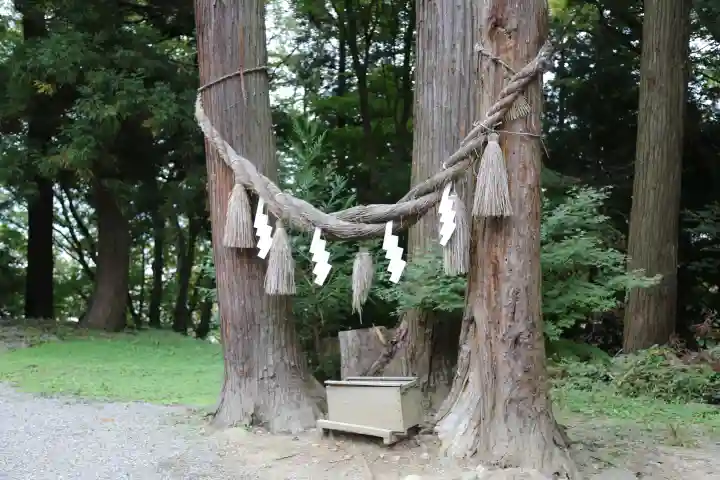八幡神社の自然