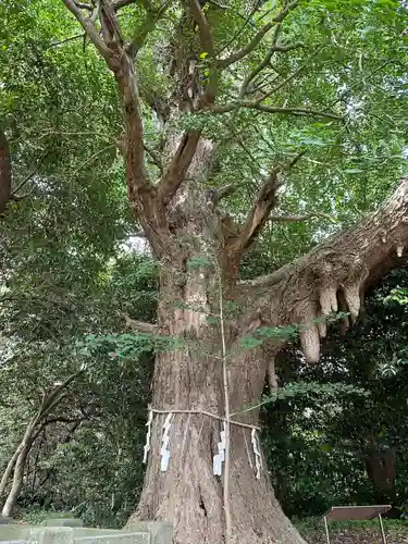 鎌数伊勢大神宮の庭園