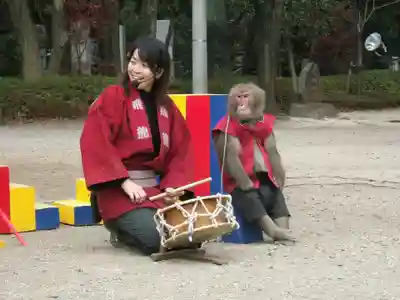 増上寺(東京都)