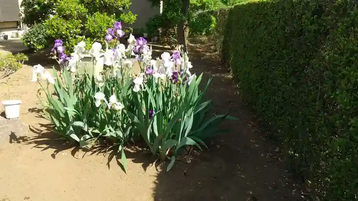伏木香取神社の自然