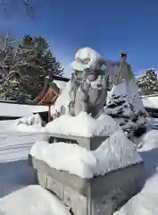 北海道護國神社の狛犬