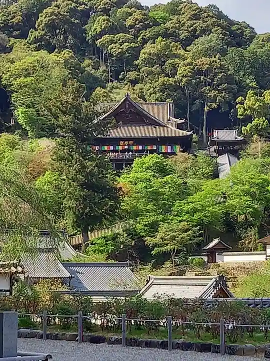 長谷寺のその他建物