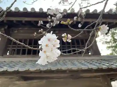 伊勢の国 四天王寺(三重県)