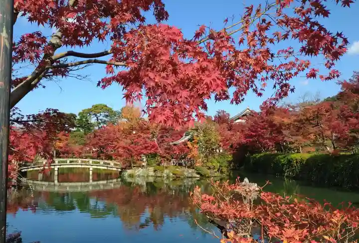 禅林寺(永観堂)(京都府)