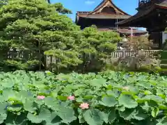 善光寺(長野県)