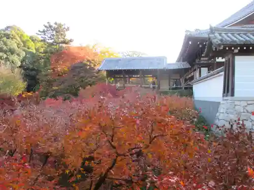 東福禅寺（東福寺）(京都府)