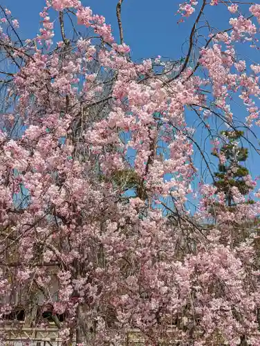  智積院(京都府)