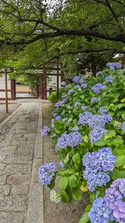 本法寺(京都府)