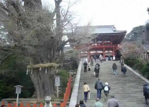 鶴岡八幡宮のその他建物