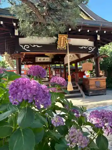 御霊神社(奈良県)