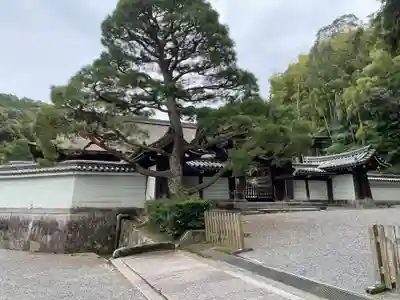 御寺 泉涌寺(京都府)