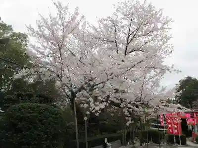 戒光寺（戒光律寺）(京都府)