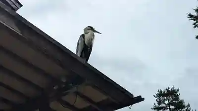 嚴島神社 (京都御苑)(京都府)