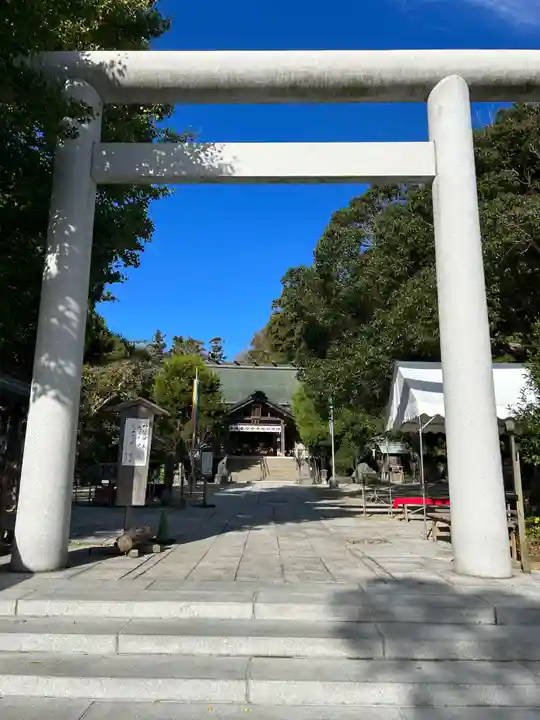天津神明宮の鳥居