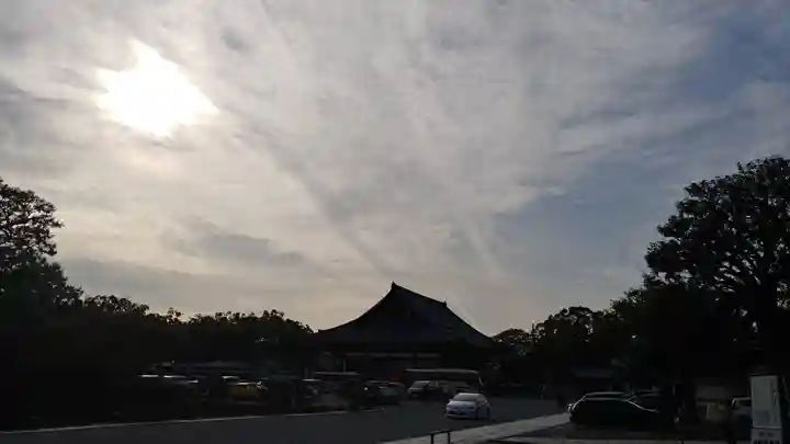 東寺(教王護国寺)の自然